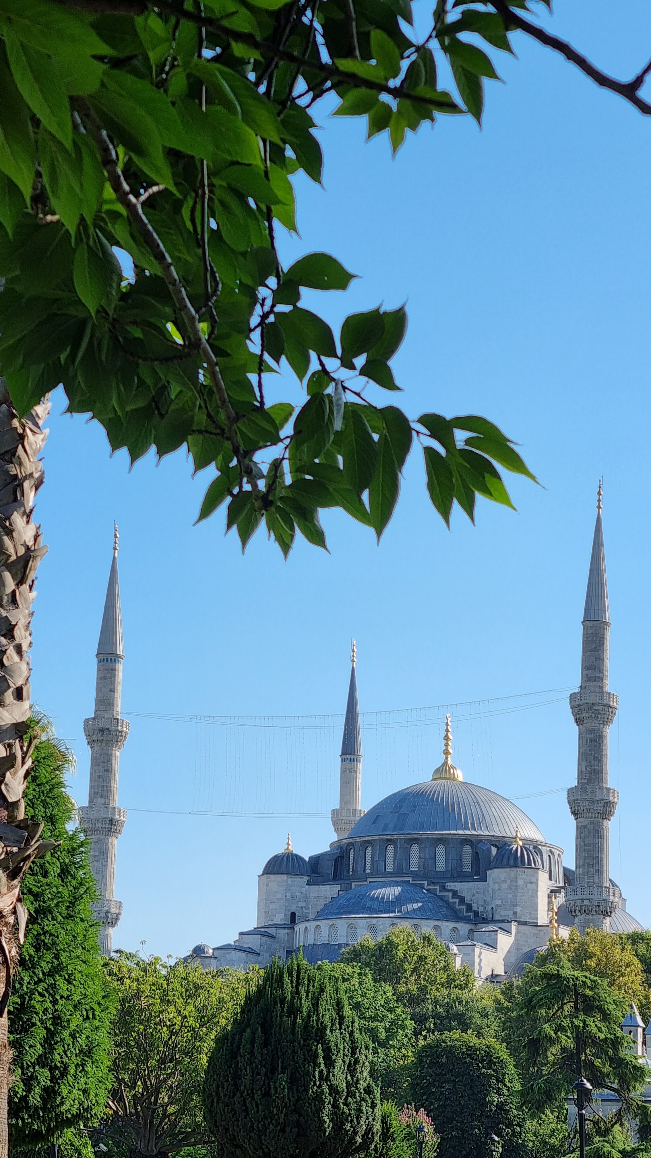 mosquee bleue istanbul