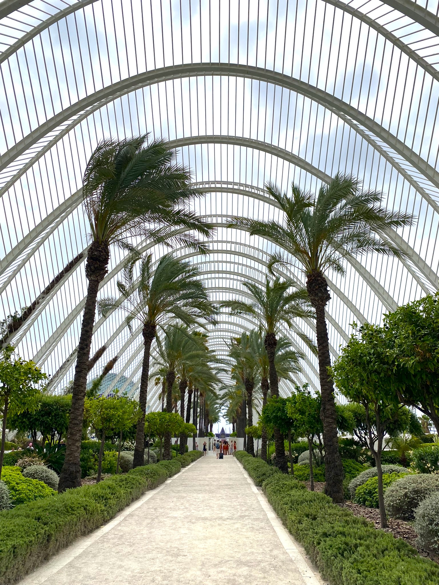 umbracle valencia cite des arts et science boite de nuit aussi