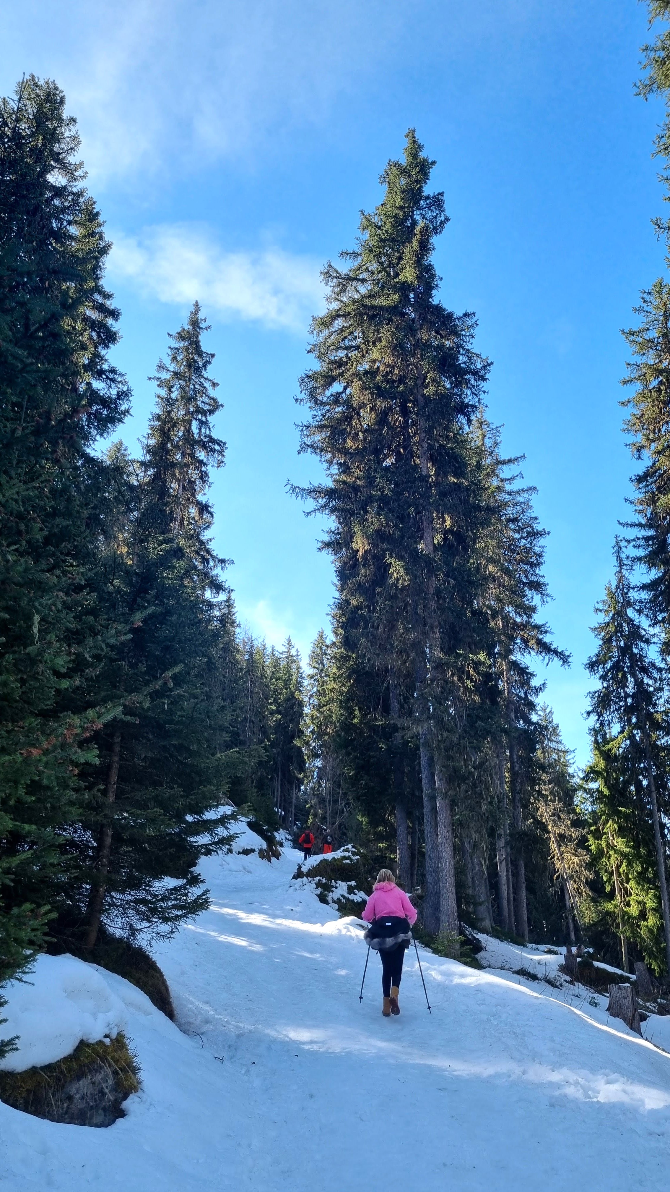 verbier randonée raquettes valais