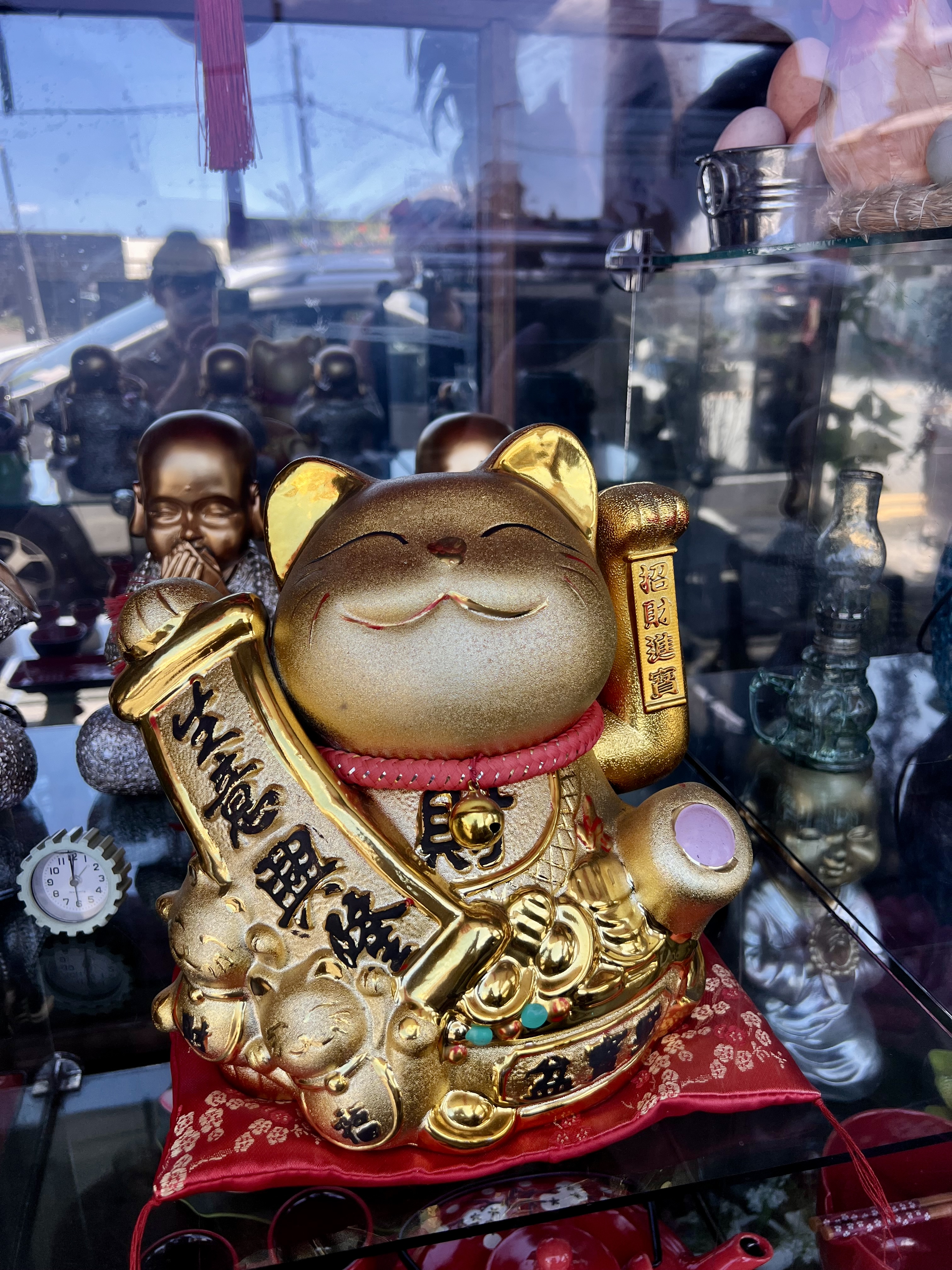 chat maurice