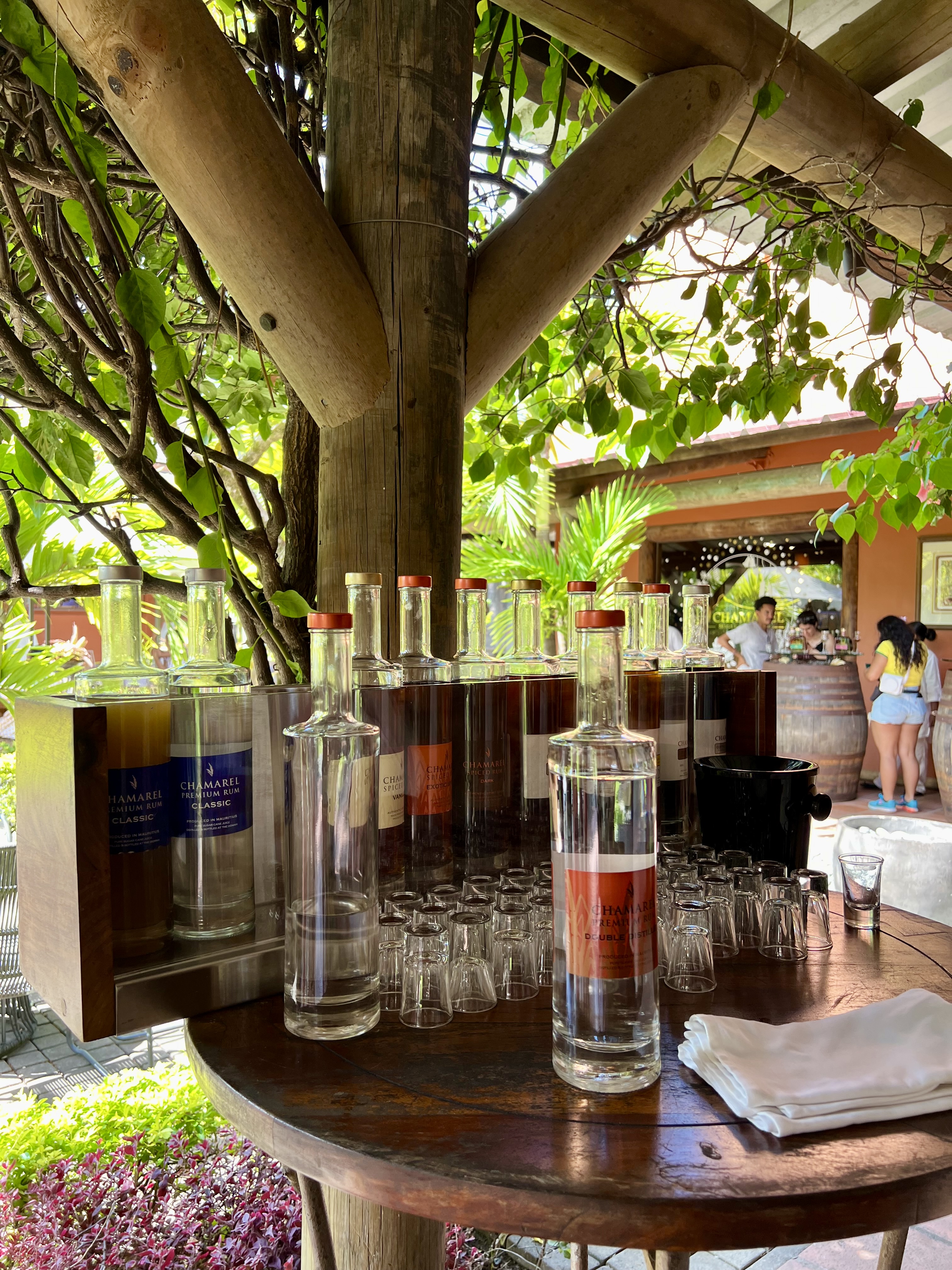 degustation rhum maurice