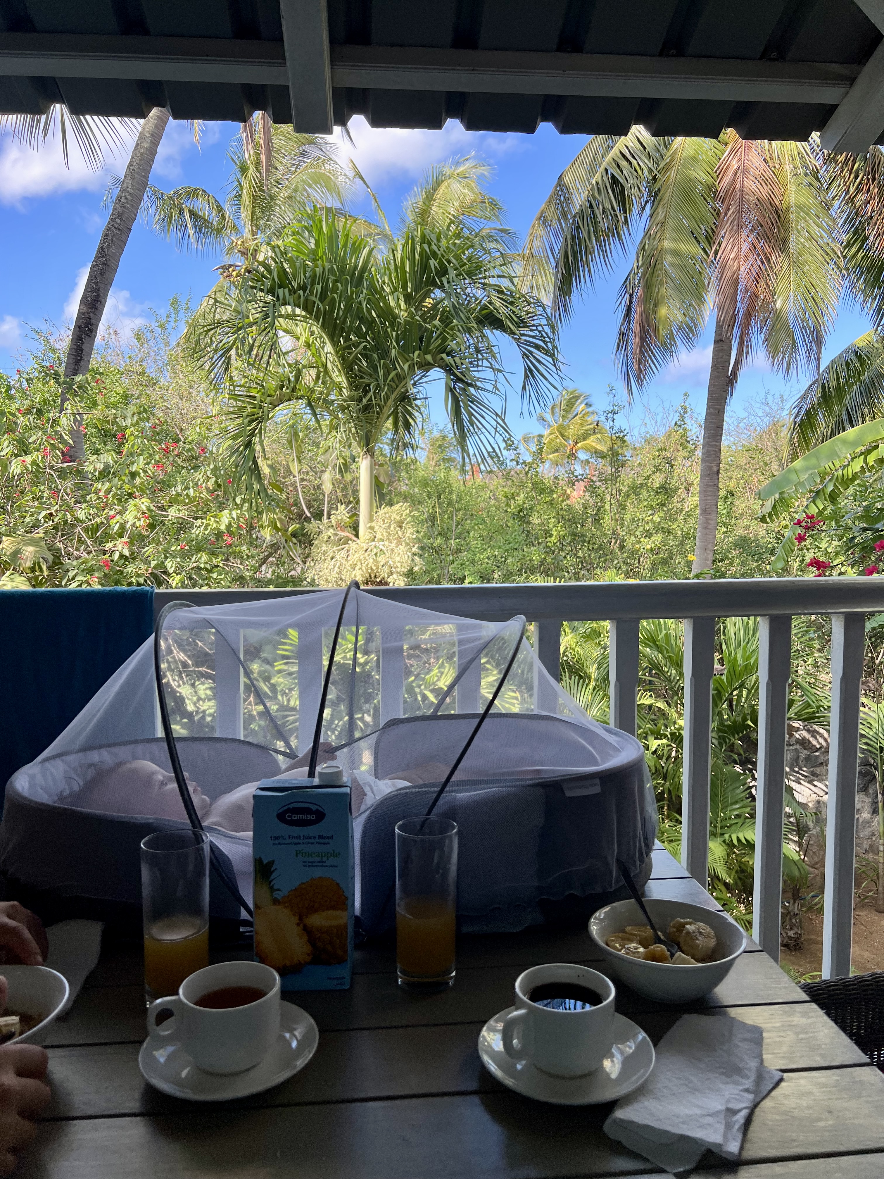 ile maurice bebe lit moustiquaire appart hotel