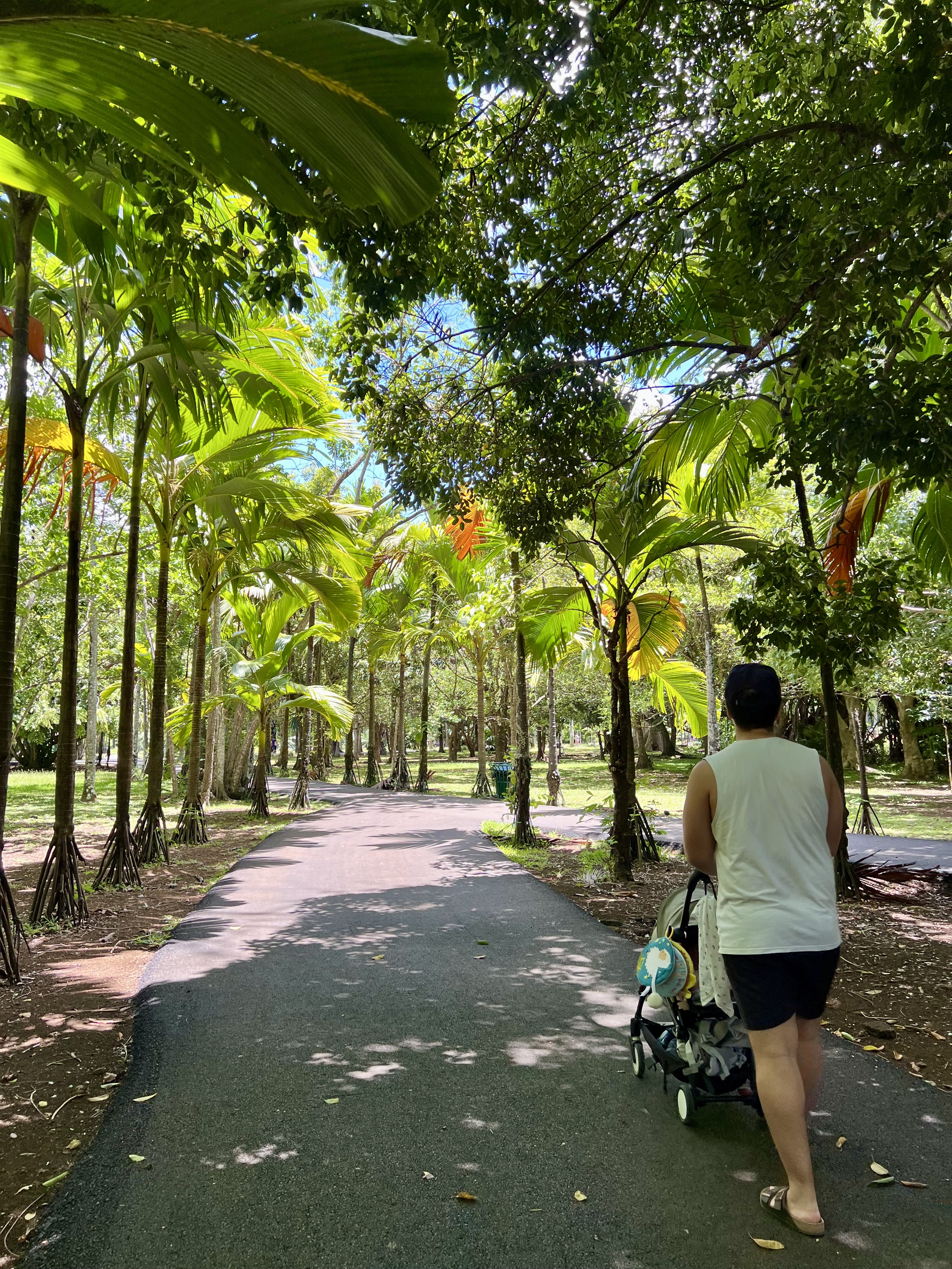 jardin pamplemousse visite ile maurice