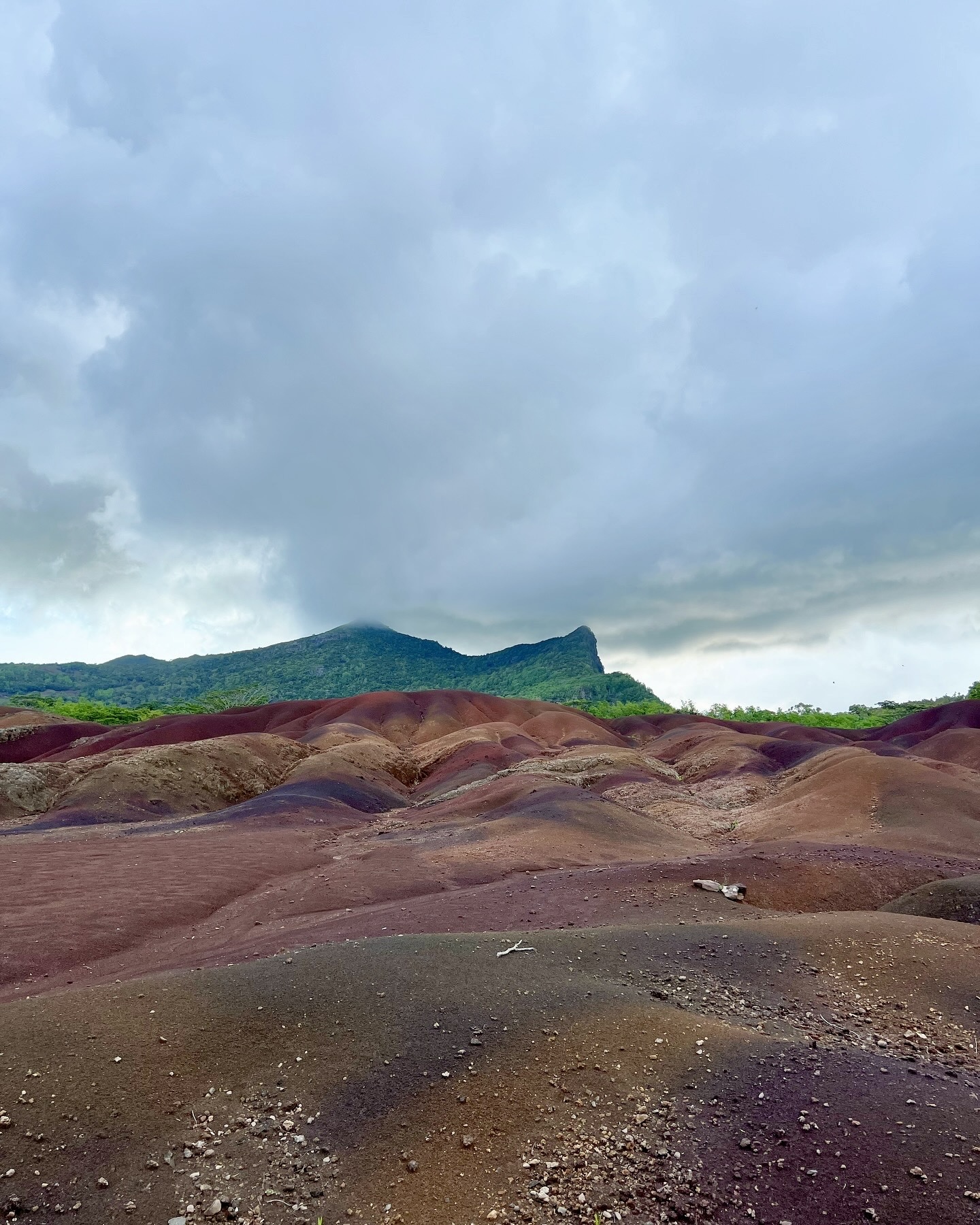 les 7 couleurs chamaral terre ile maurice