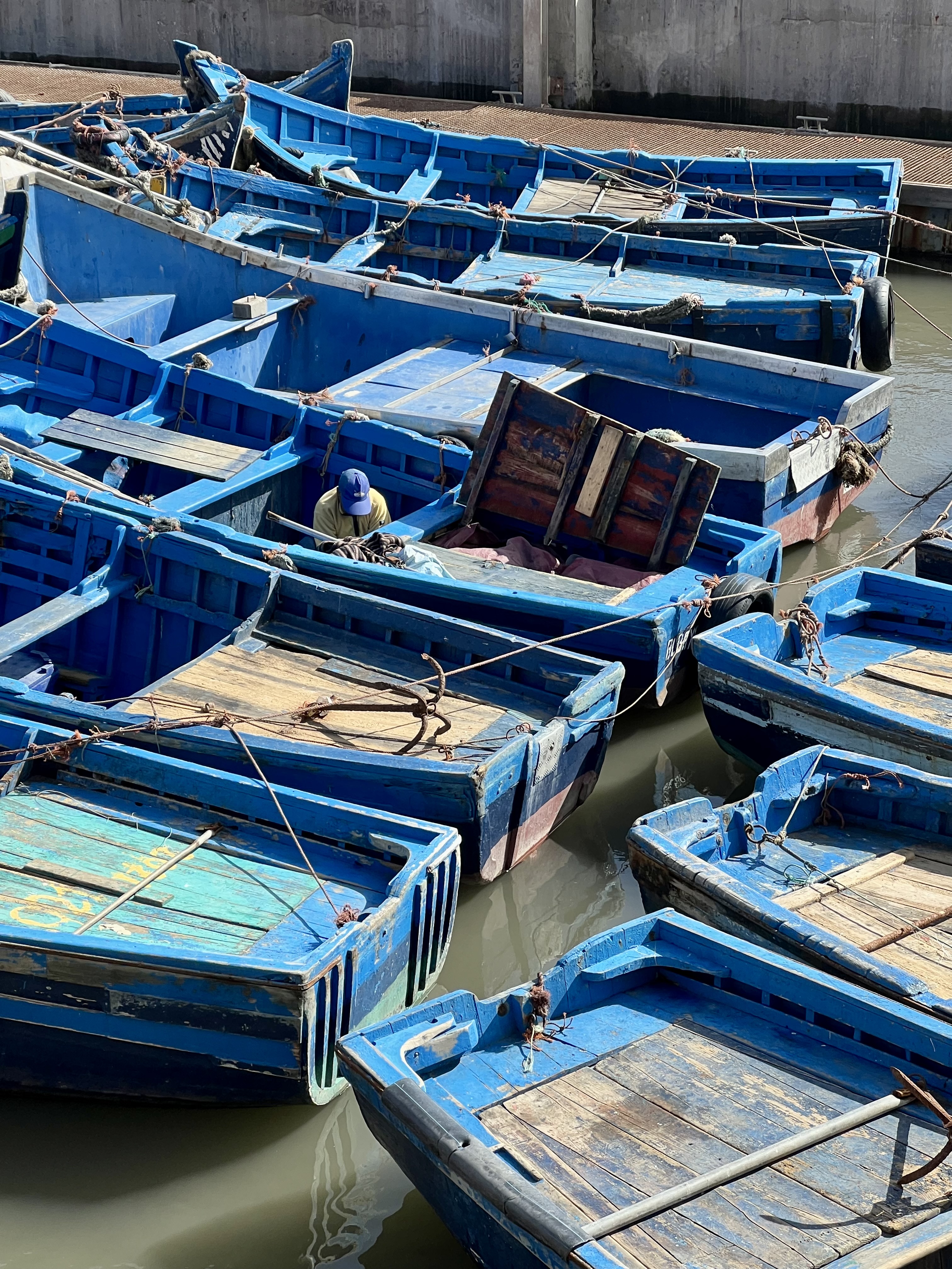 bateaux essaouira