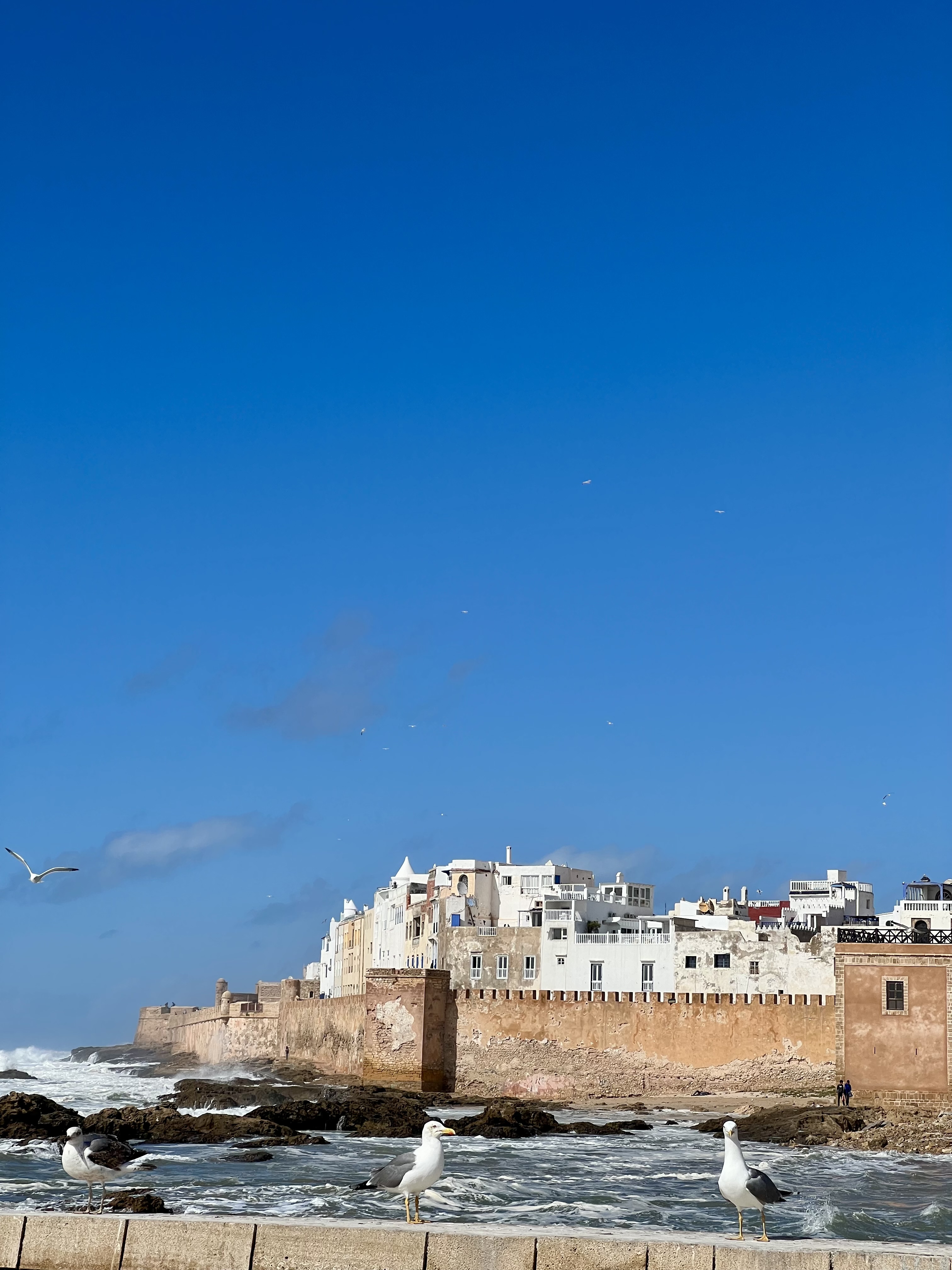 essaouira maroc ville