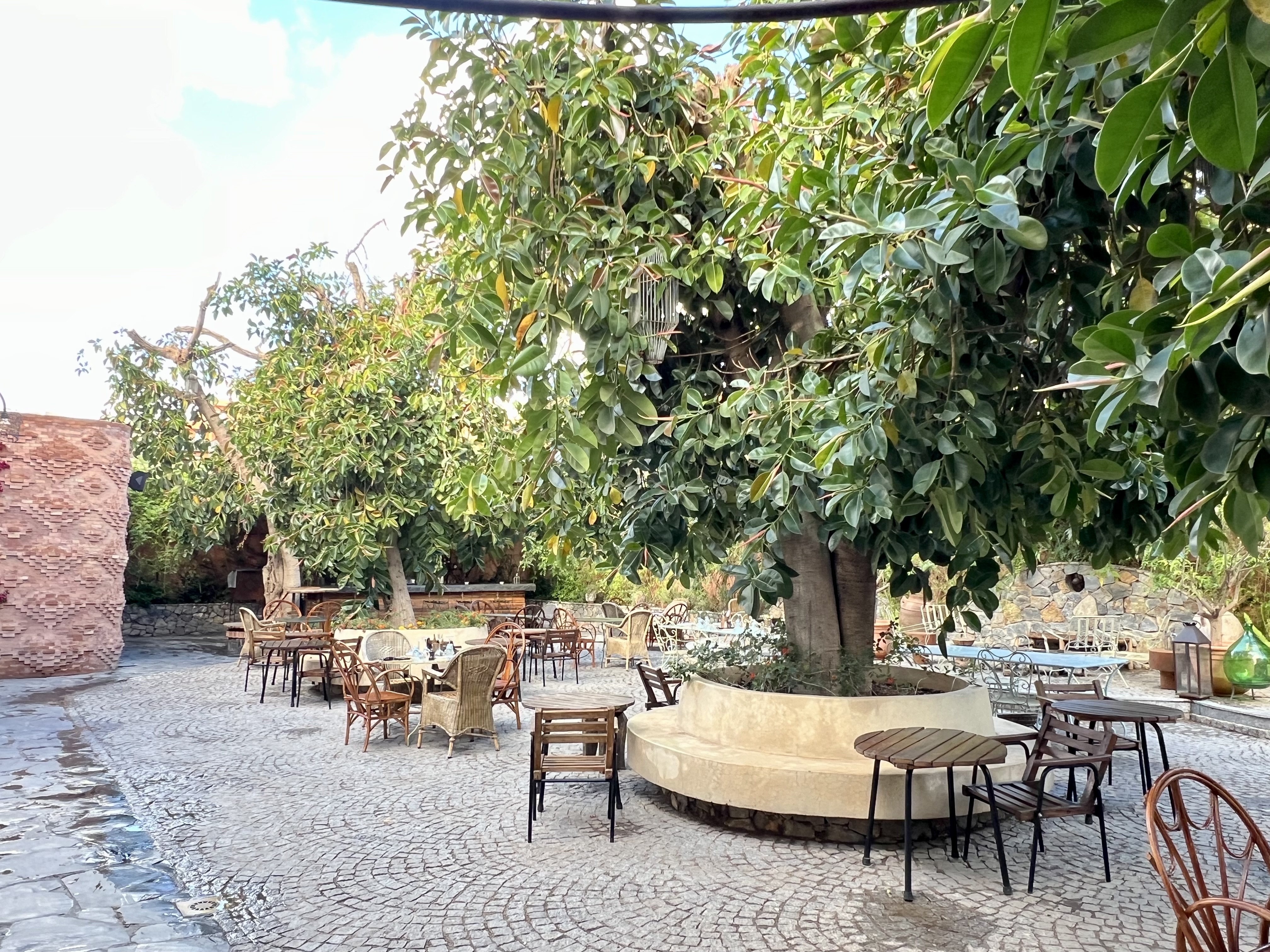 jardin exterieur restau petanque marrakeck maroc