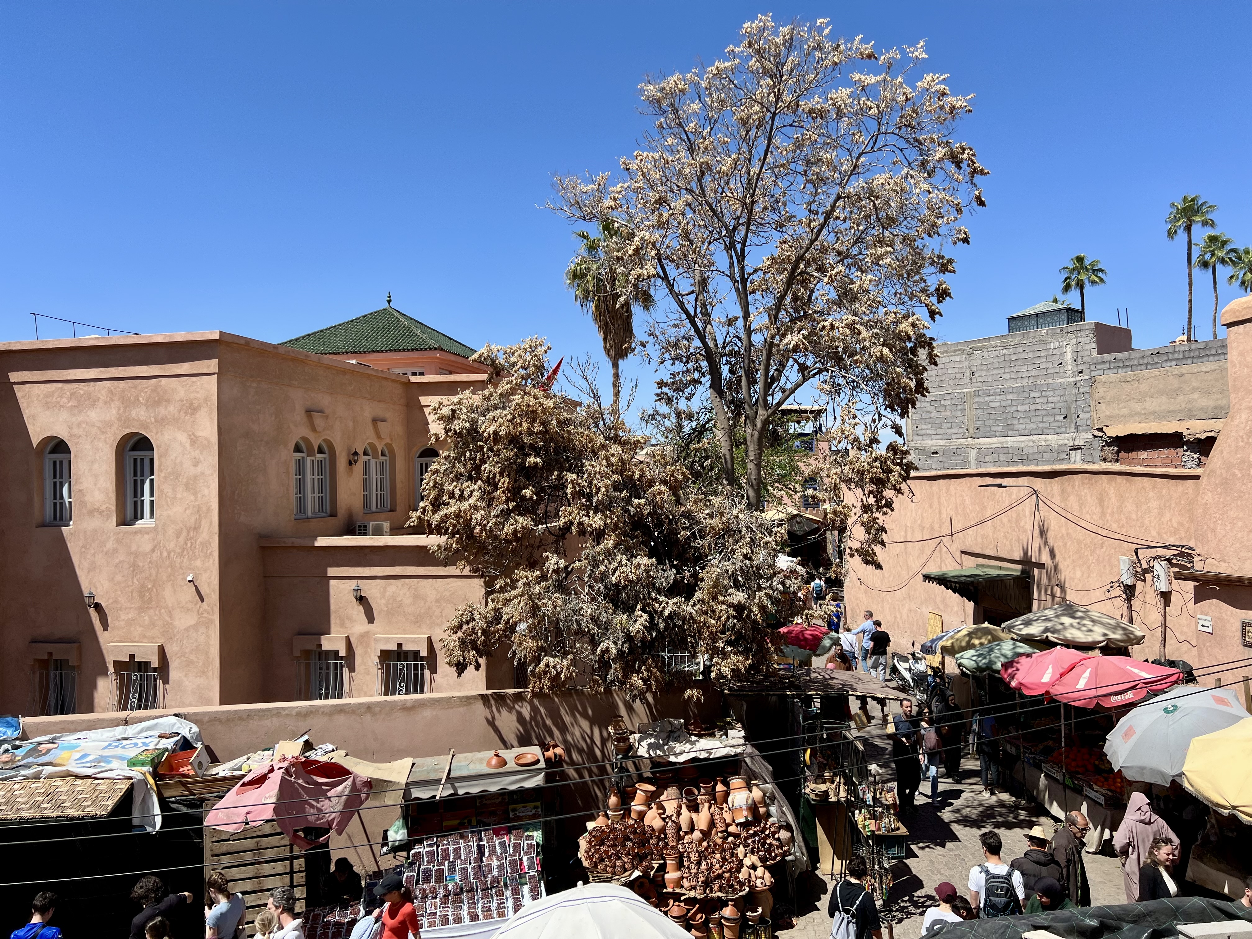 marrakech medina immeubles