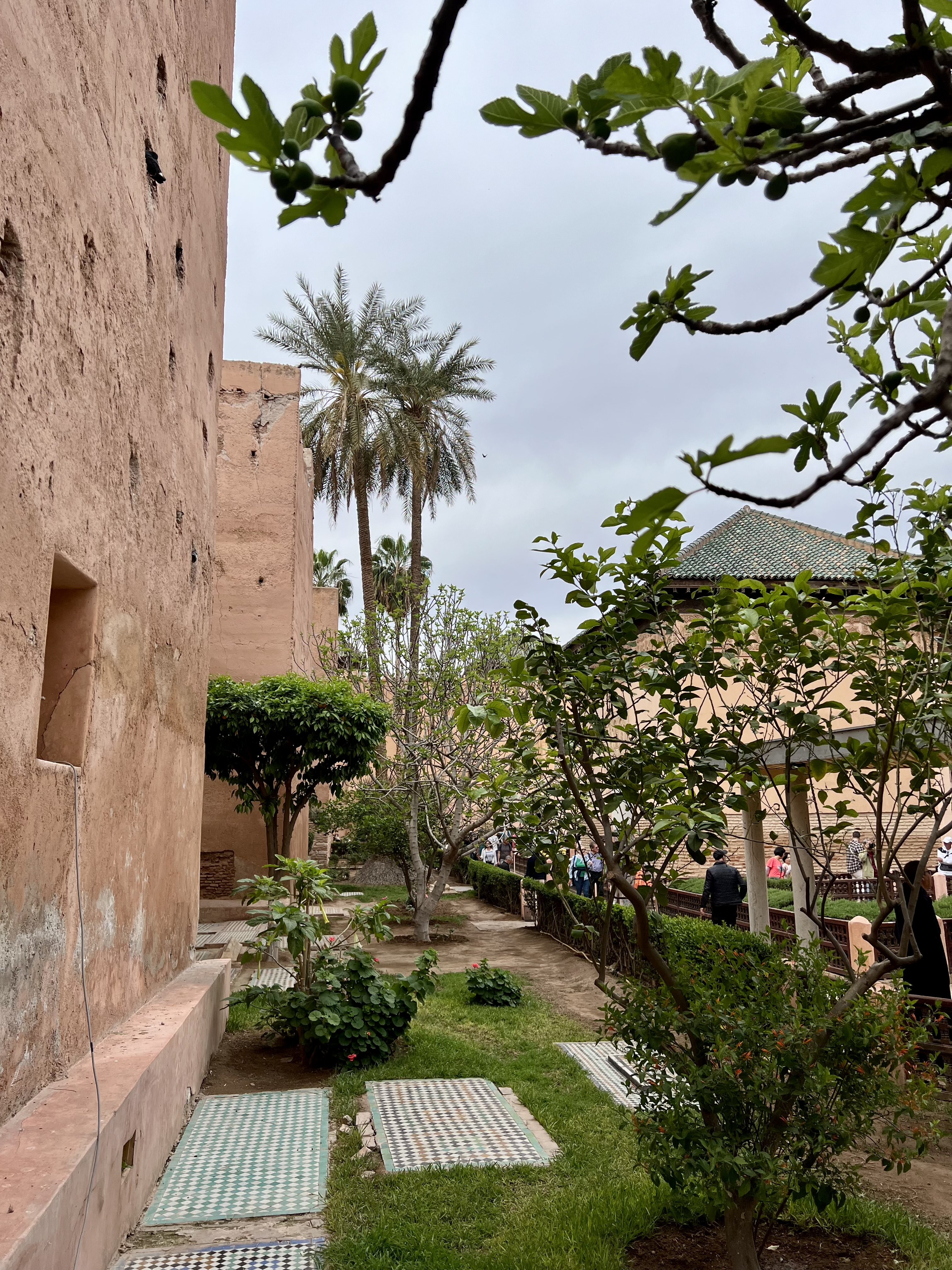 nature et batiment marrakech
