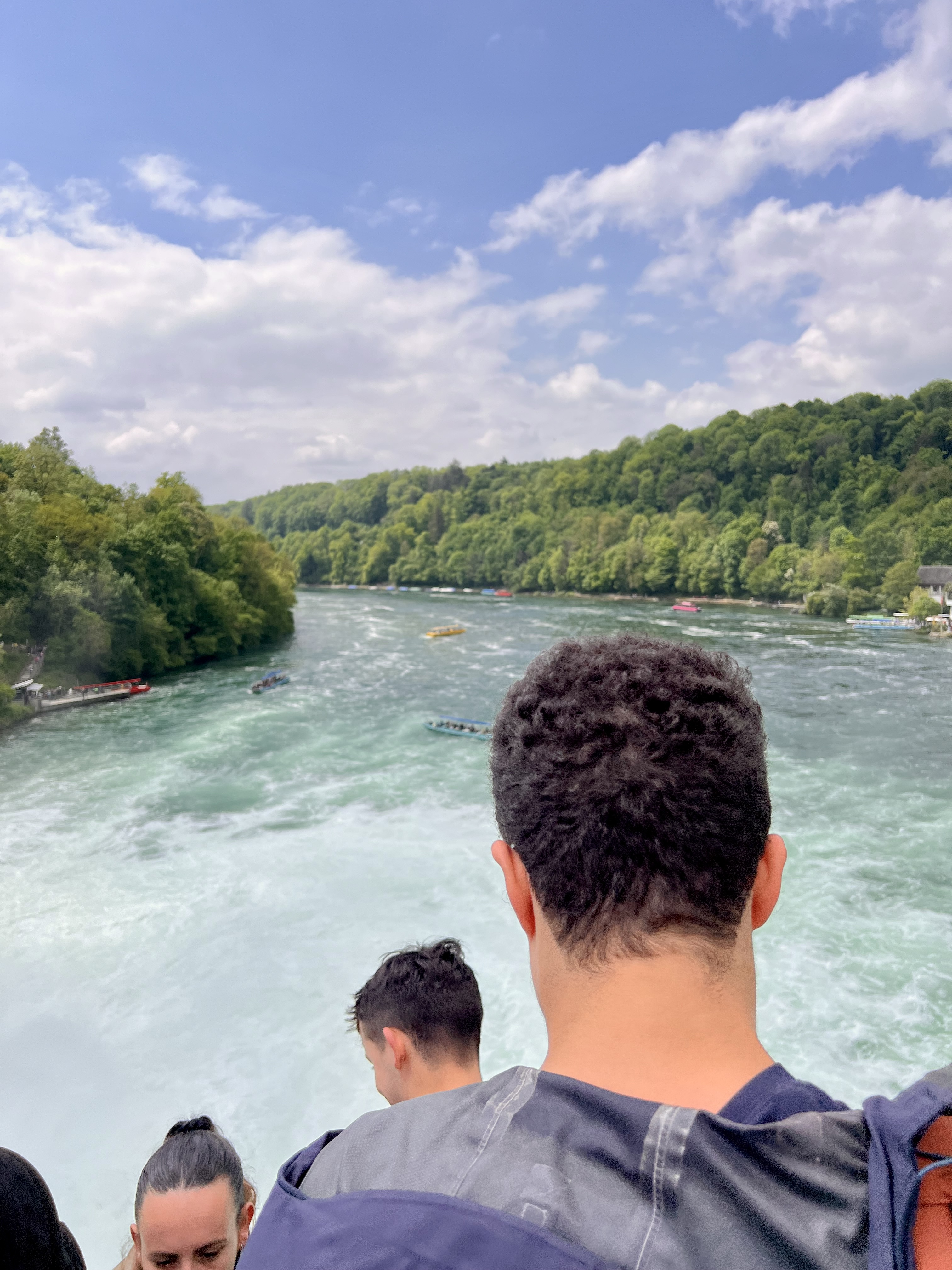 arrêt sur l'ilot chutes du rhin voyage suisse
