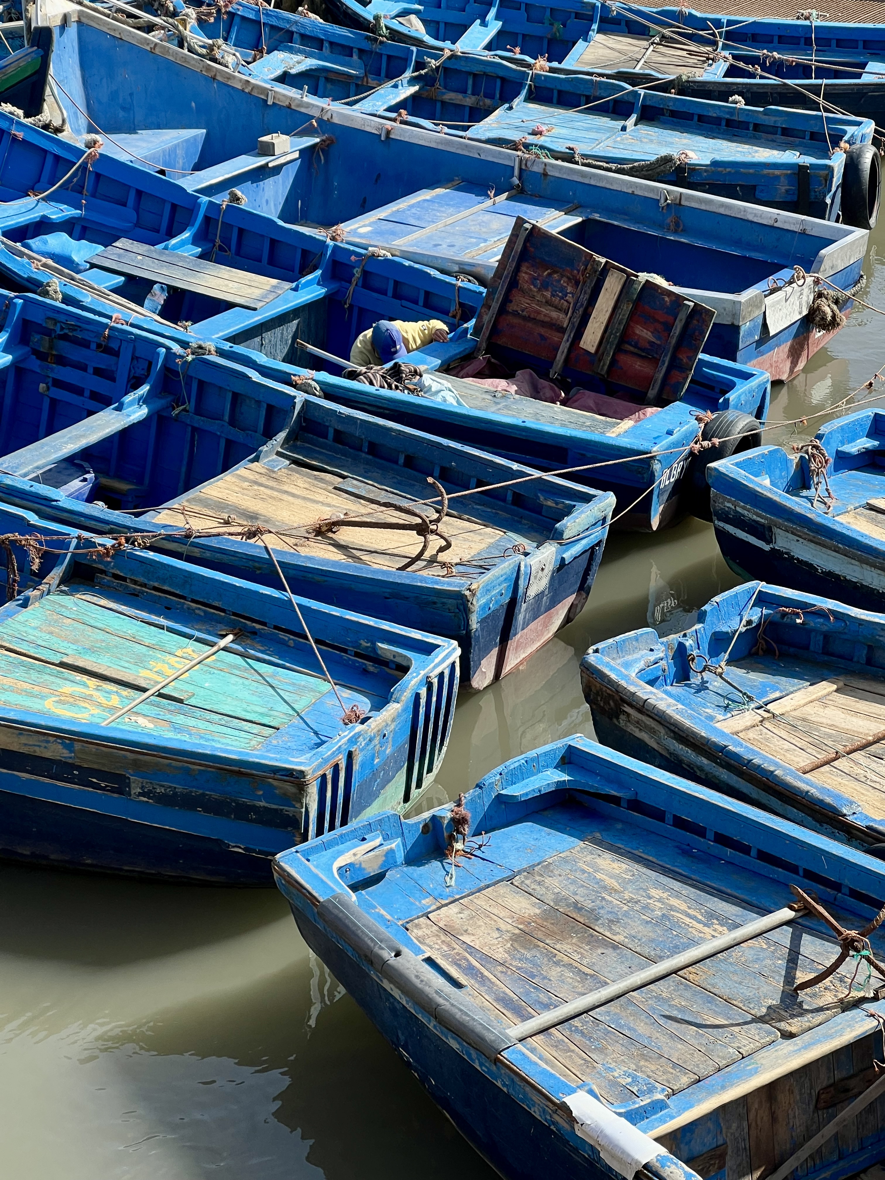 bateaux visite du port essaouira que faire