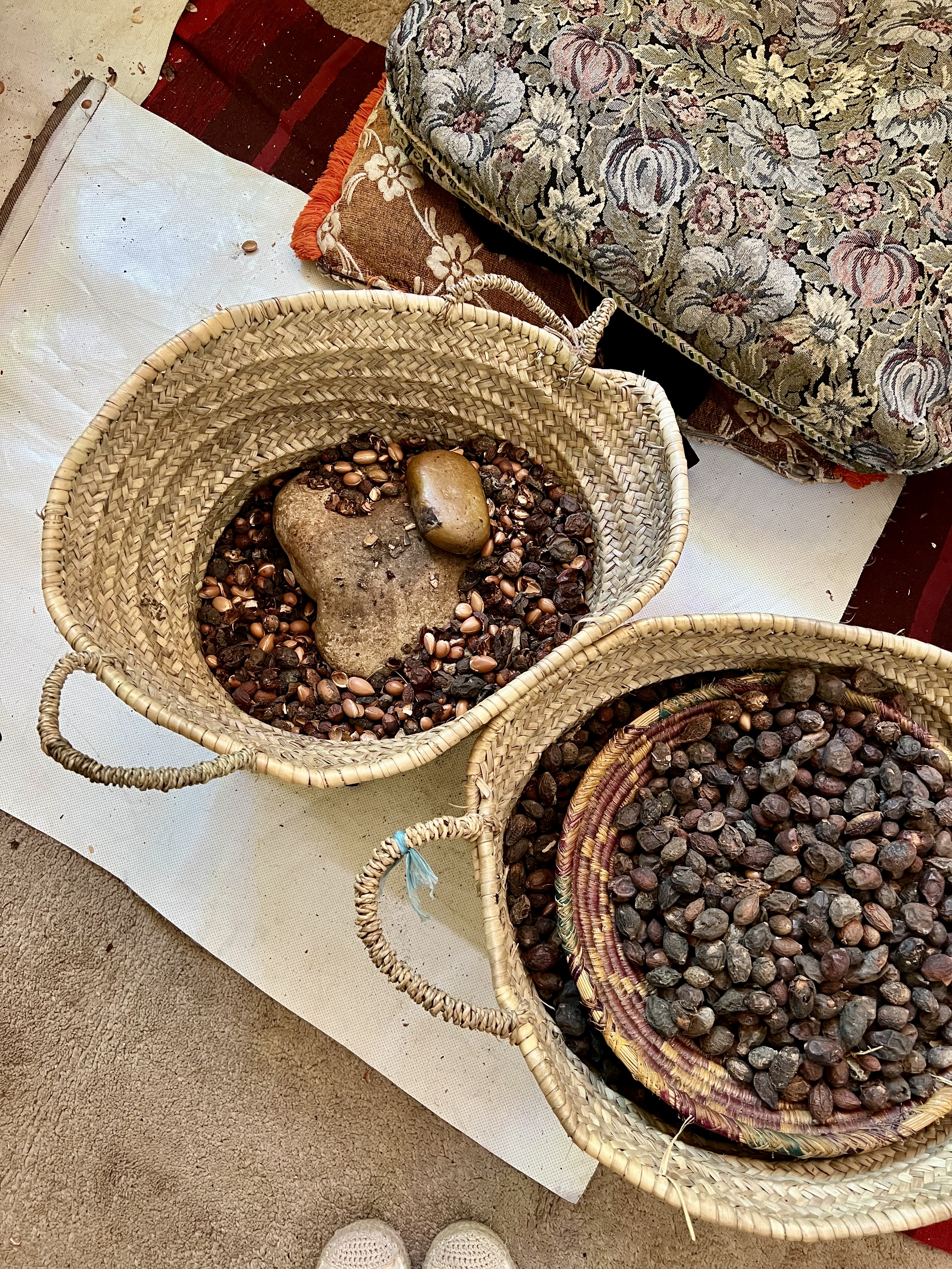 cooperative feminine huile d argan que voir maroc essouira voyage.