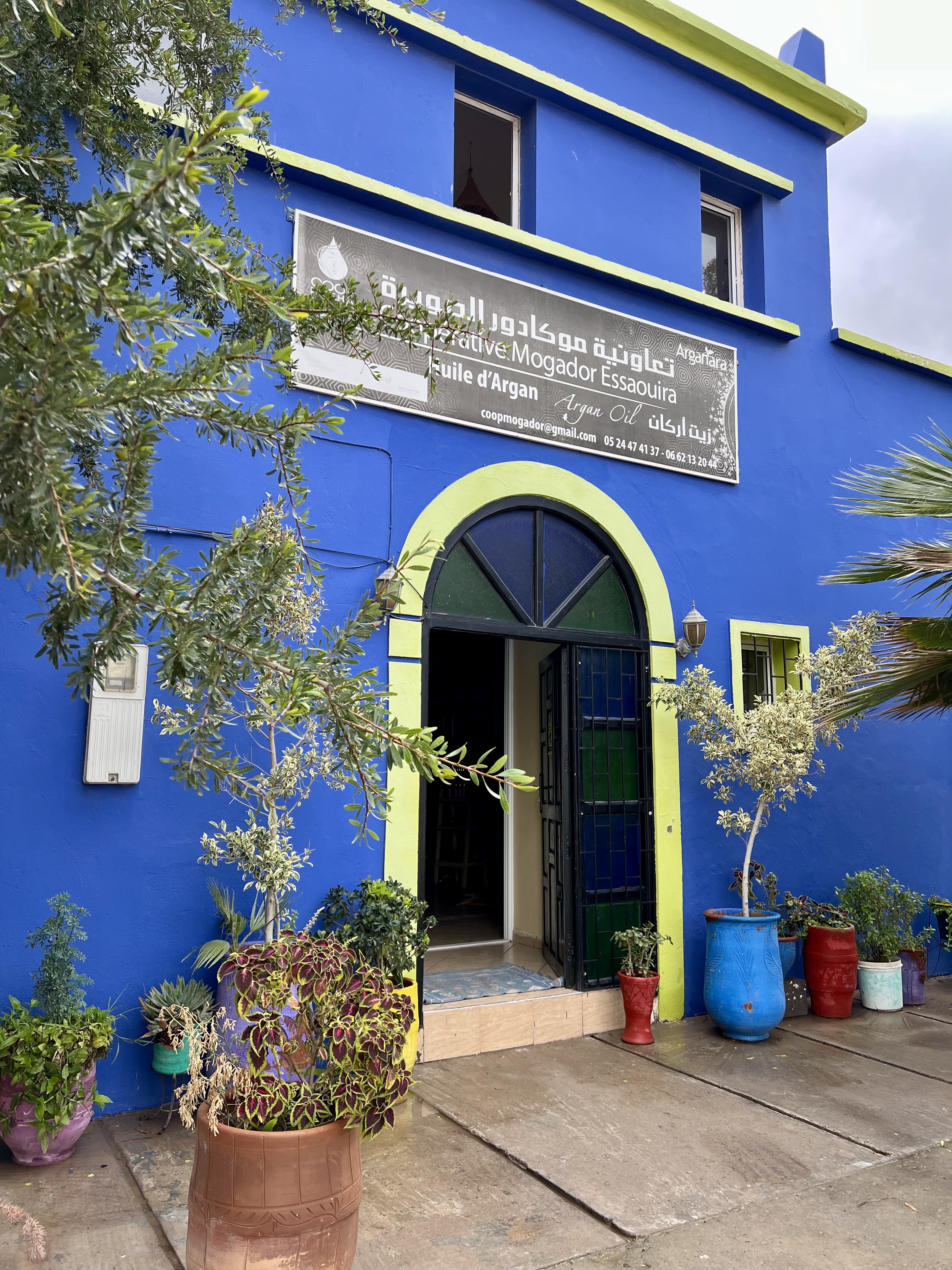 cooperative feminine huile d argan que voir maroc essouira