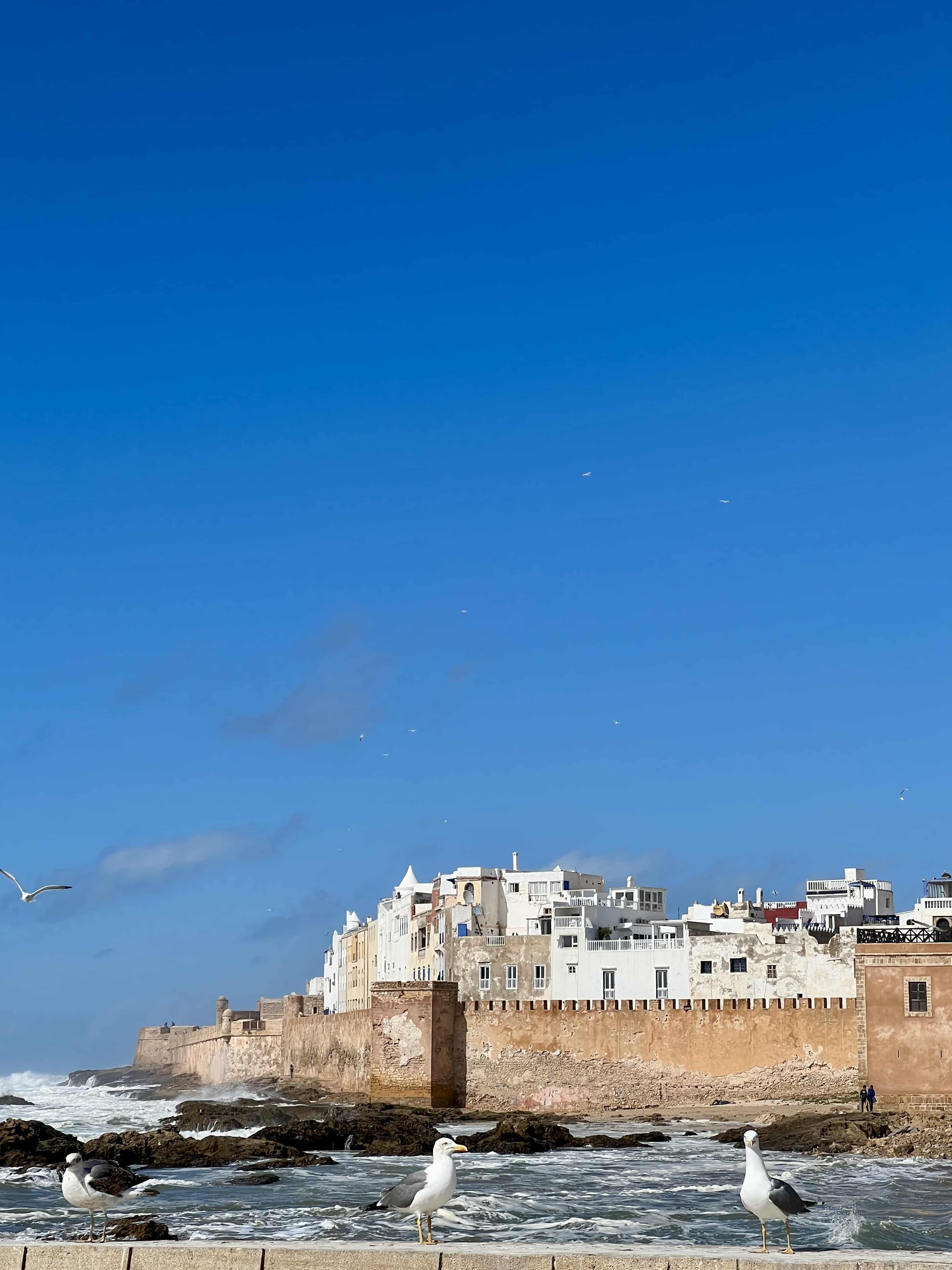 essaouira port voyage itinéraire