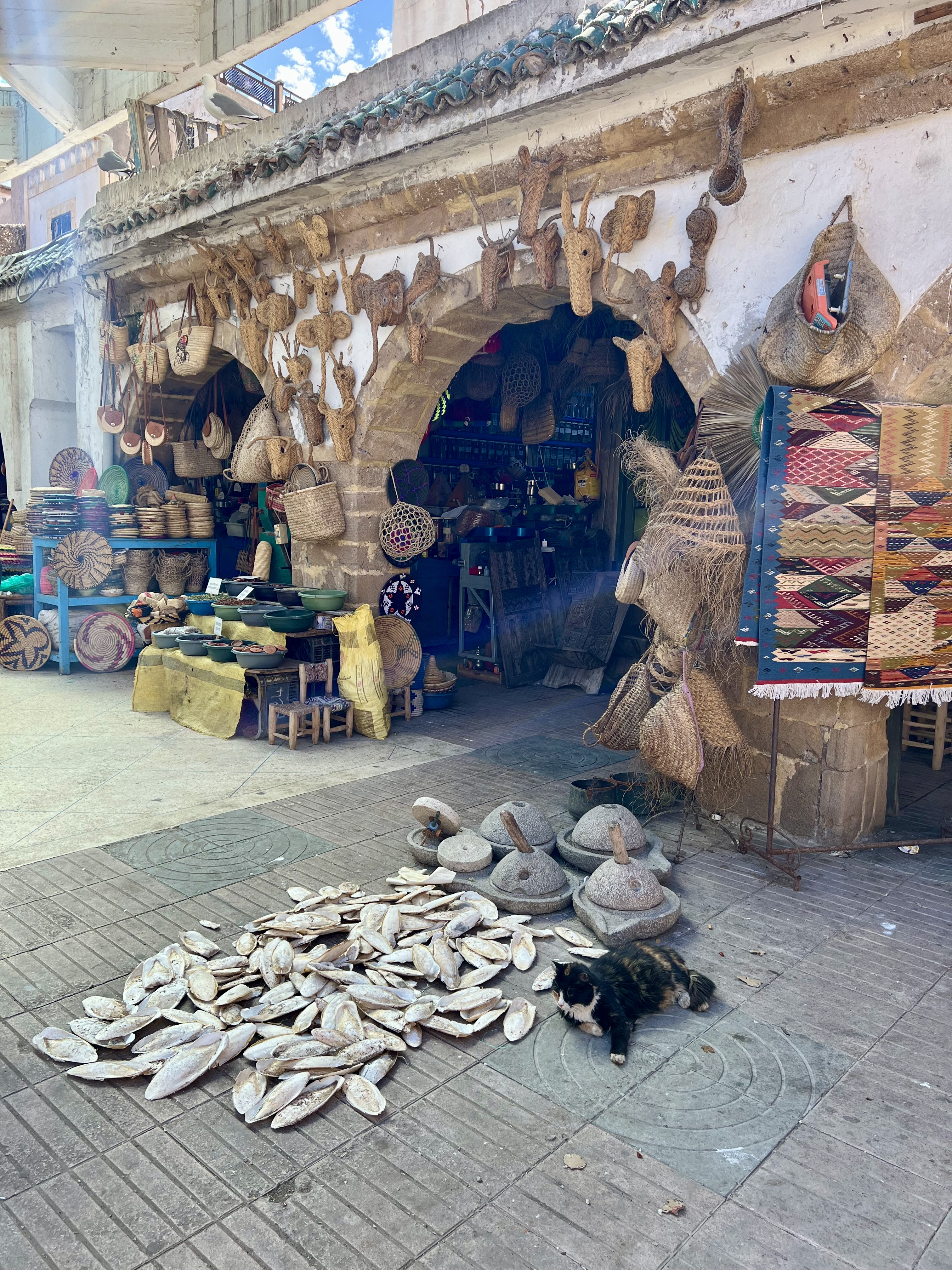 marche aux poissons essouira voyage