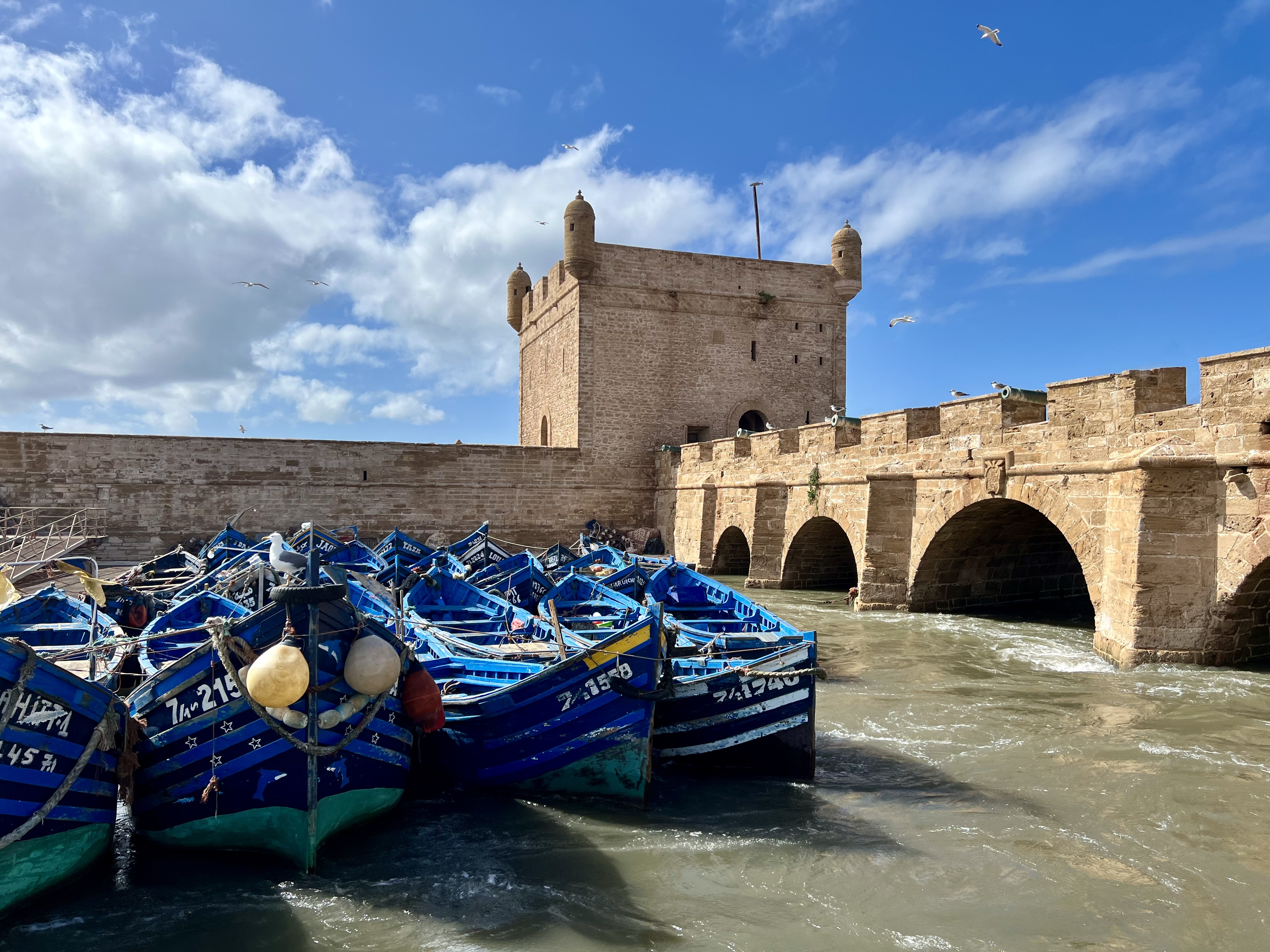 port barque essaouira