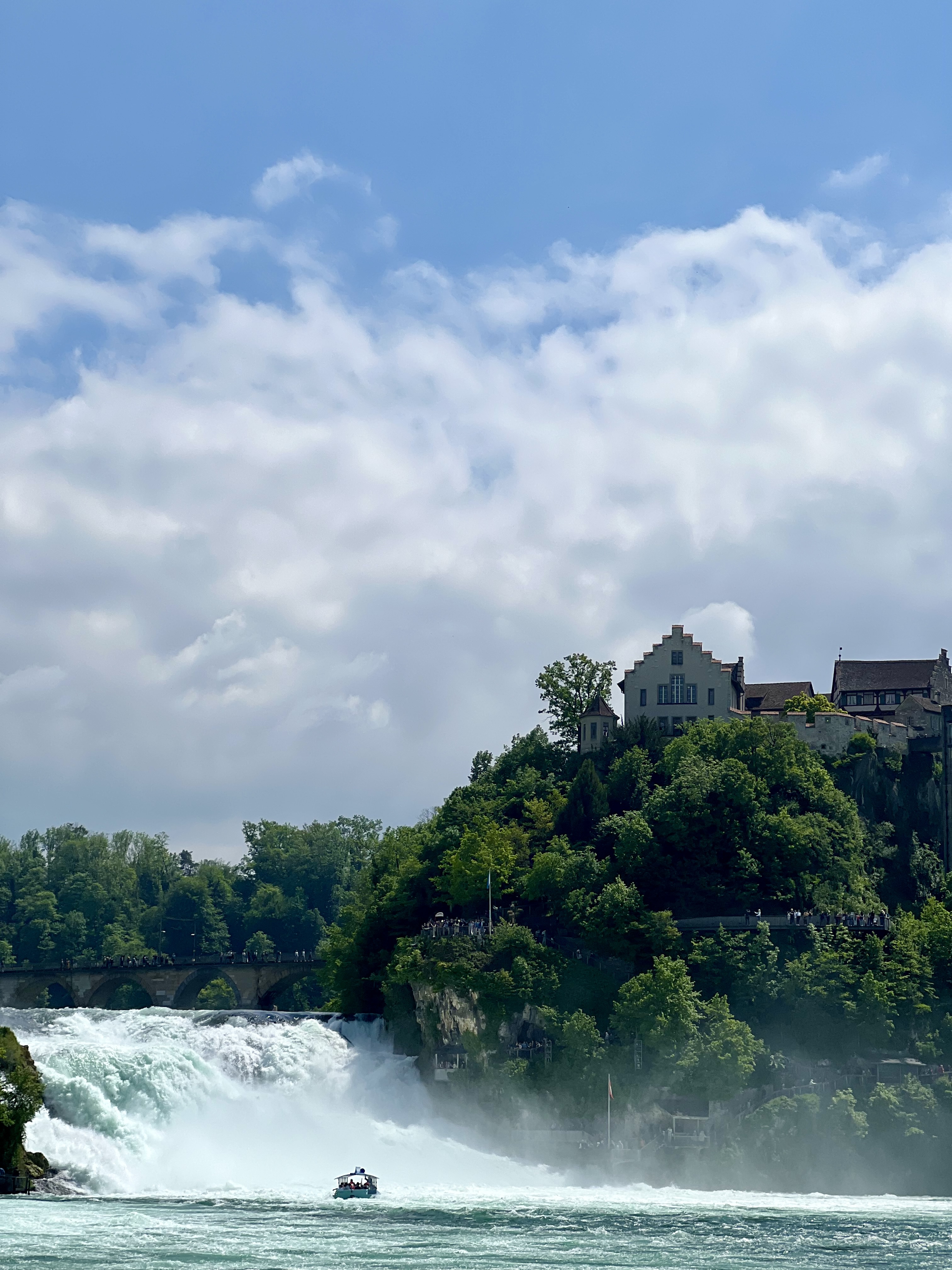 voyager suisse chutes du rhin