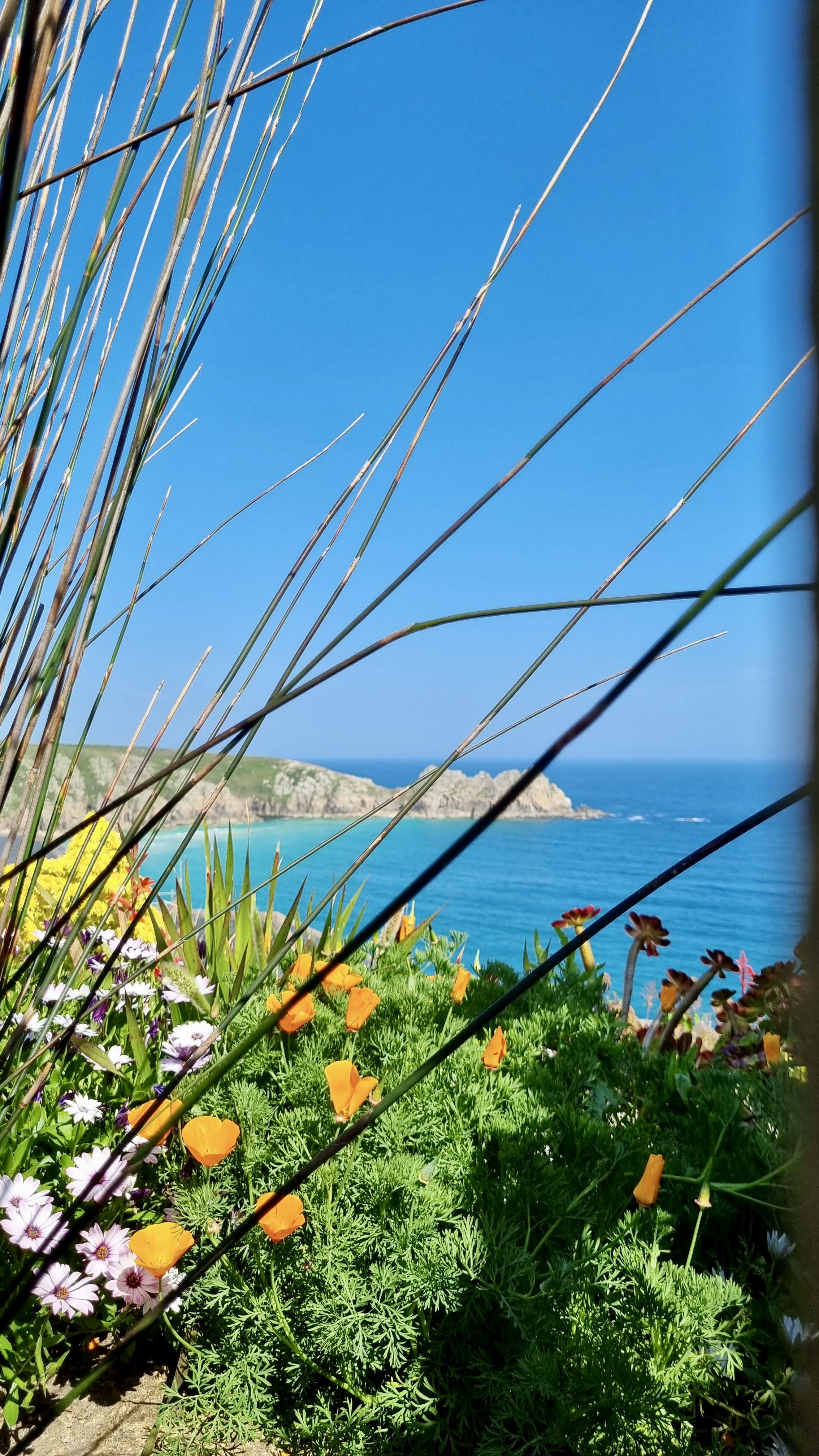 fleur road trip cornouailles angleterre que voir