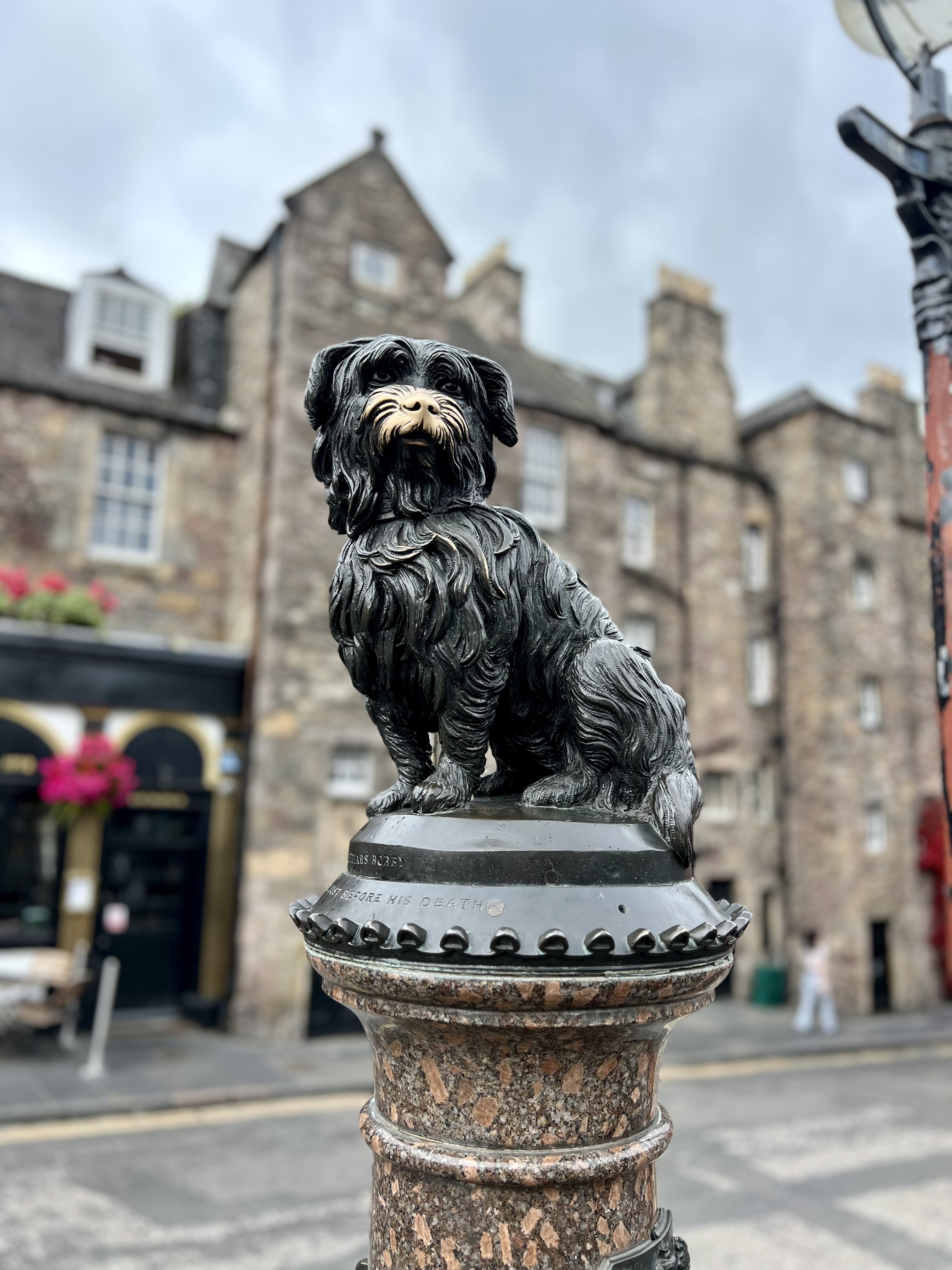 bobby edimbourg skye terrier