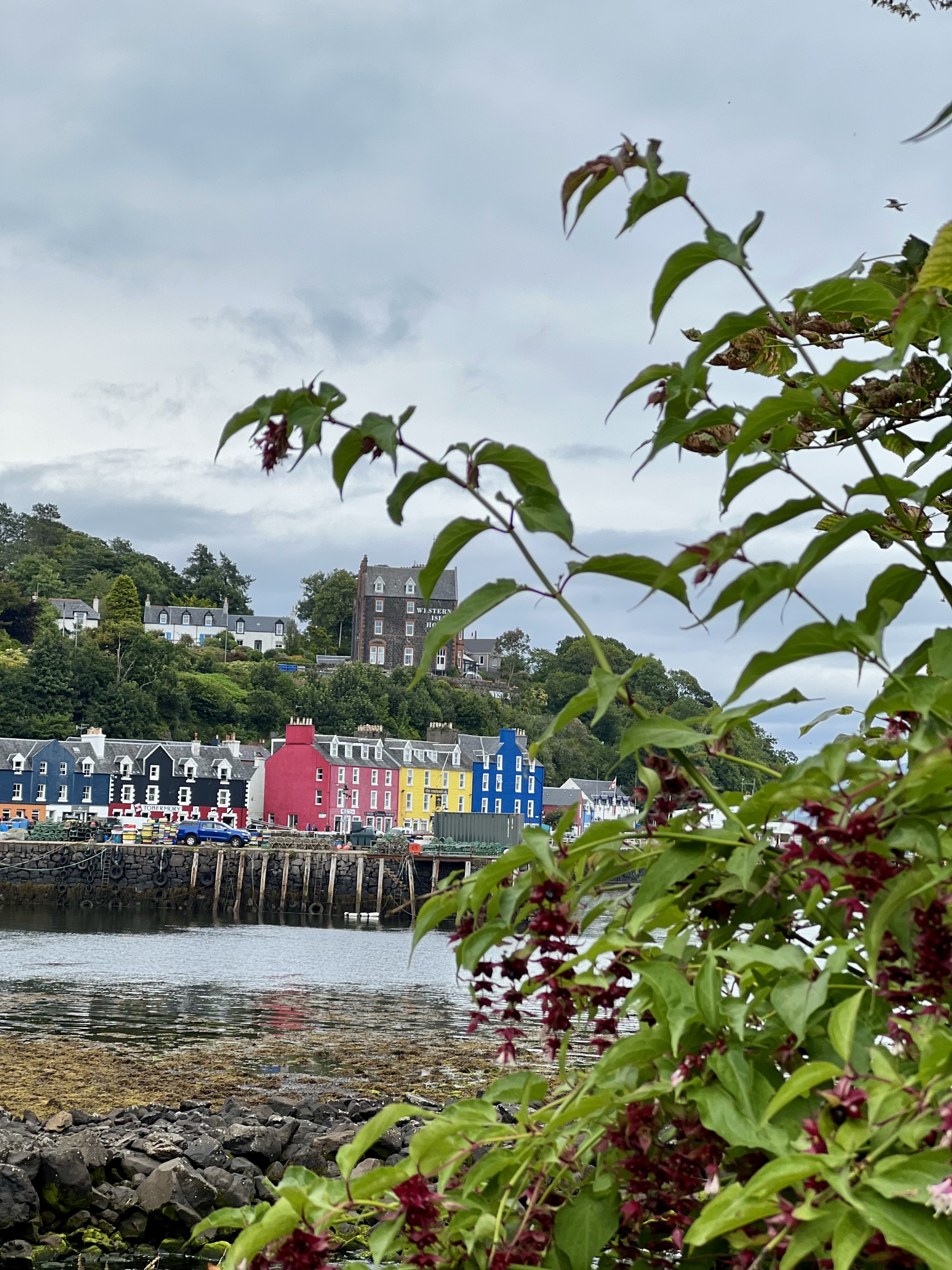 ou manger a tobermorry ile de mull ecosse 2