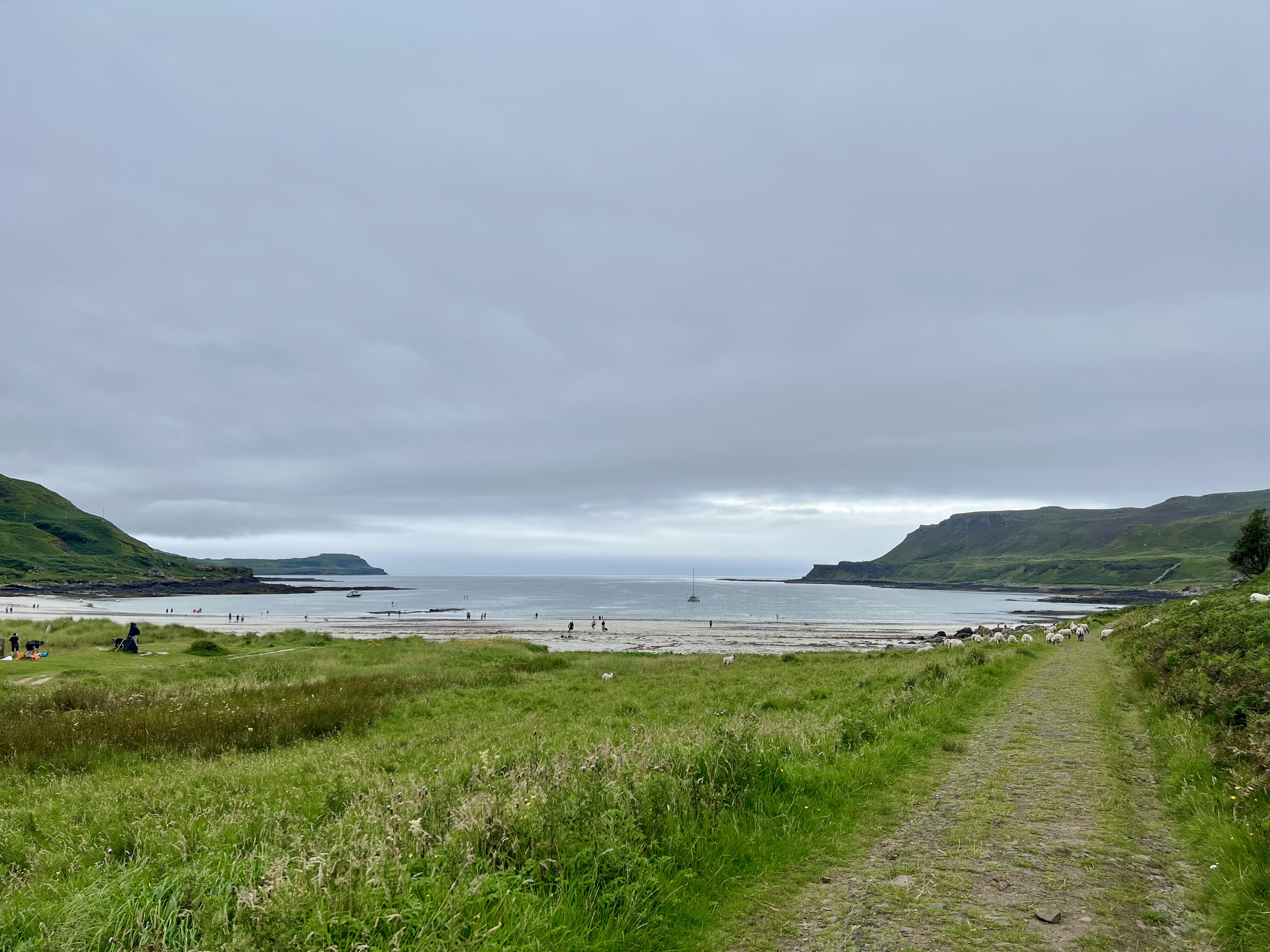 plage ile de mull ecosse calgary