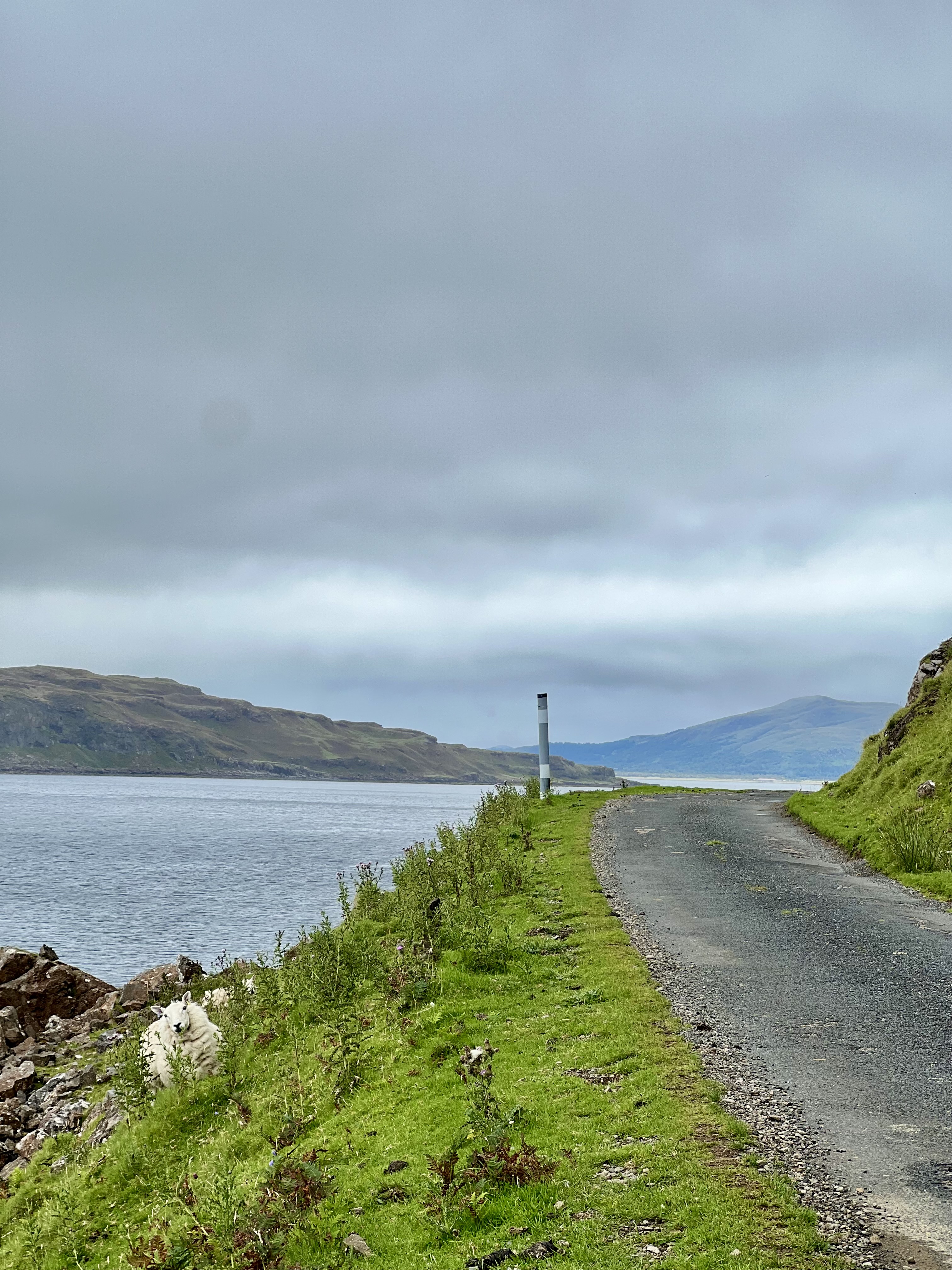 route et moutons ile de mull ecosse